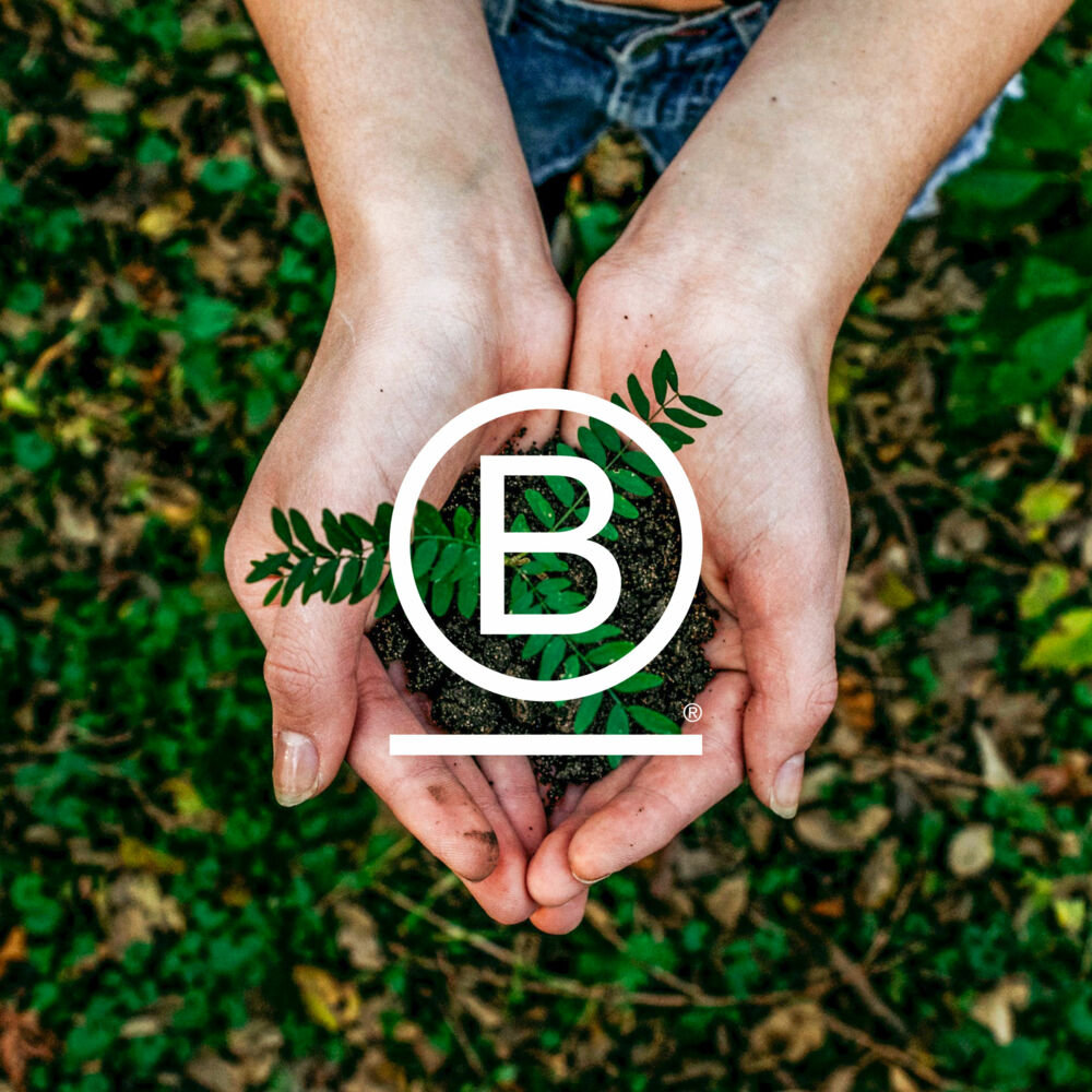 Sustainability B-Corp Sustainability B-Corp