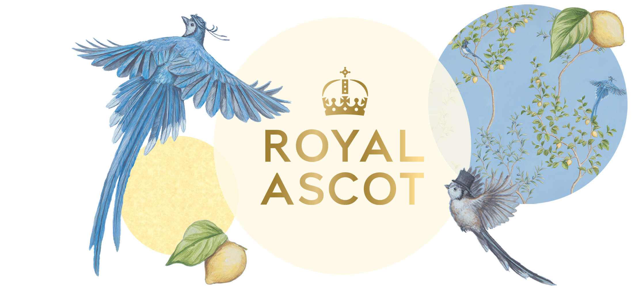 RoyalAscot2024 Hero RoyalAscot2024 Hero